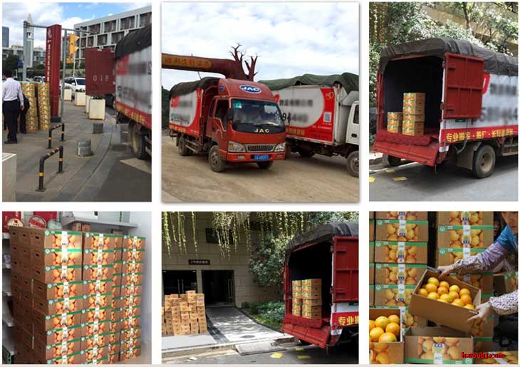 受邀至褚時健基地空車搬運褚橙至昆明.jpg 受邀至褚時健基地空車搬運褚橙至昆明.jpg