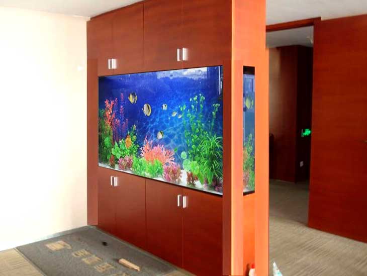 昆明搬家搬運(yùn)魚缸需要注意的事項(xiàng)有哪些？